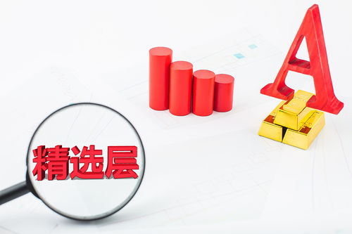 金融科技公司艾融軟件成首批新三板精選層新股 兩年前沖擊a股失敗被駁回,為金融機(jī)構(gòu)提供技術(shù)開發(fā)工行為最大客戶